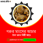 গরুর মাংসের আচার